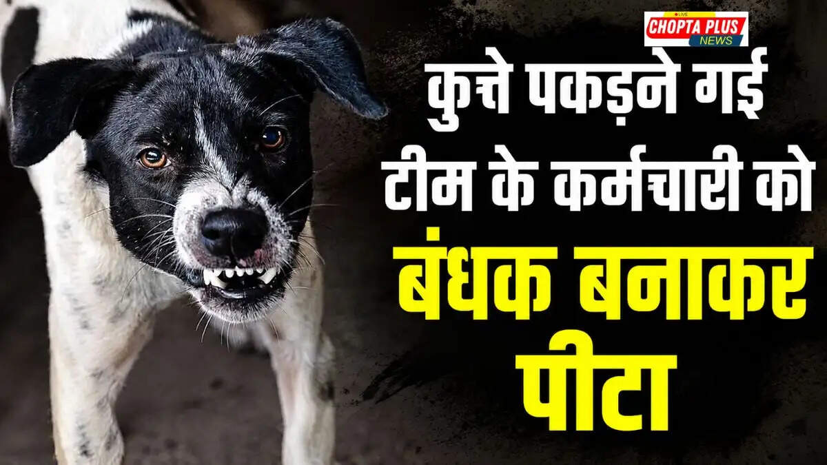 Sirsa Crime Update: सिरसा में कुत्ता पकड़ो टीम पर हमला, कर्मी को बंधक बनाकर पीटा