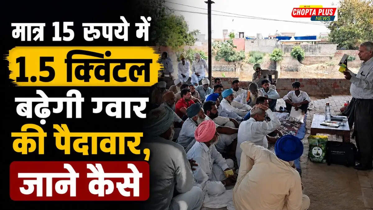 Guar Farming Tips: सिरसा में विशेषज्ञ ने बताए ग्वार की बंपर पैदावार के तरीके, जानें सही समय