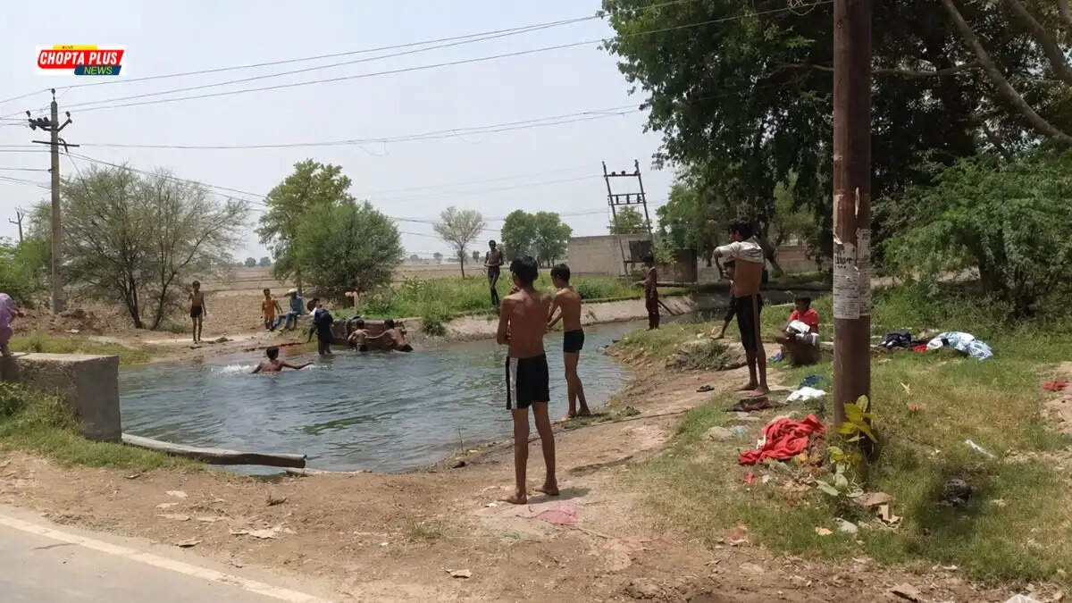 Sirsa DC Shantanu Sharma imposes ban on bathing in canals under section 163 to prevent drowning incidents.