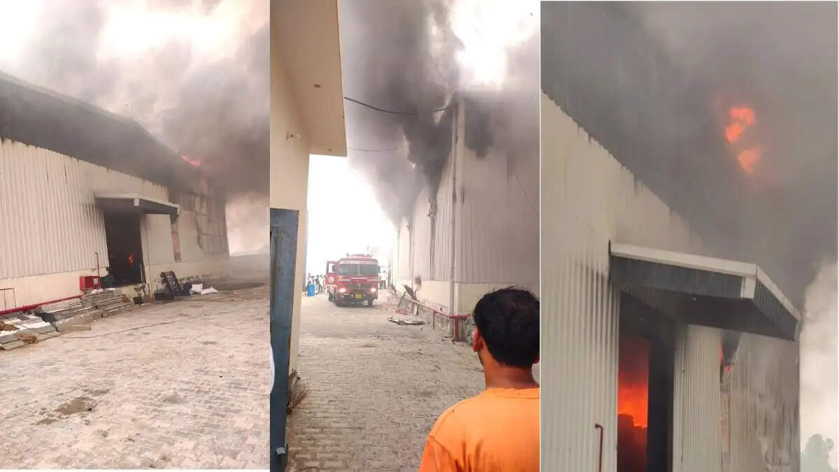 Gudia Khera Jamidara Cold Store Fire
