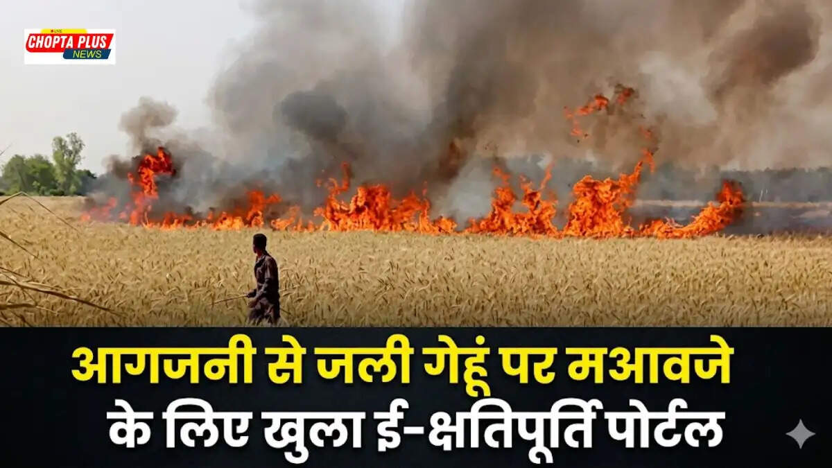 Farmer standing in burnt wheat field in Sirsa Haryana registering loss on e-kshatipurti portal wheat fire damage compensation