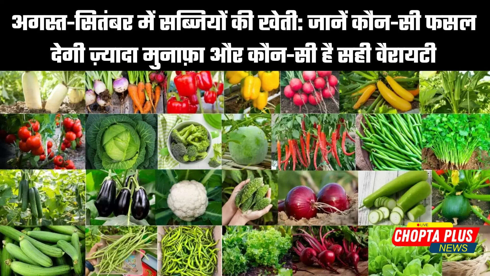 सब्जियों की खेती