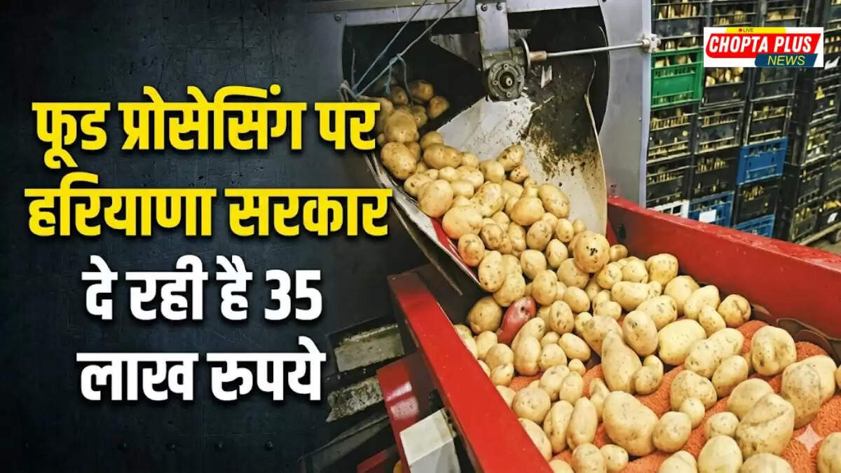 Sirsa Horticulture Food Processing Subsidy 2026