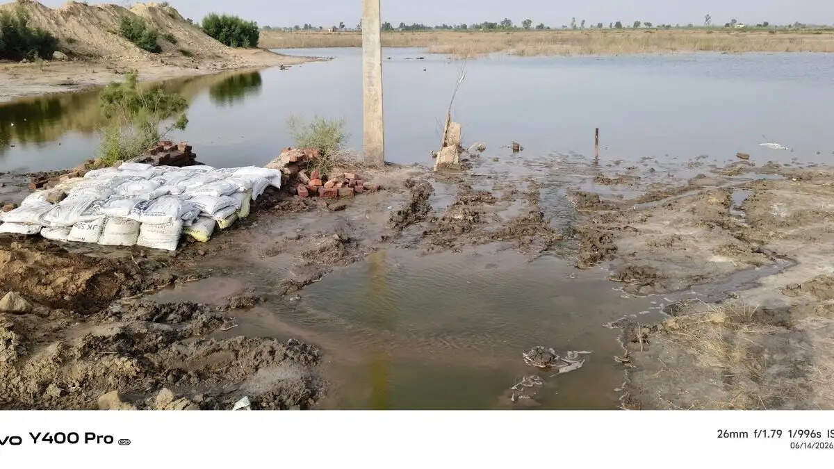  hisar-ghaggar-drain-leakage-darba-kalan-waterlogging-sirsa