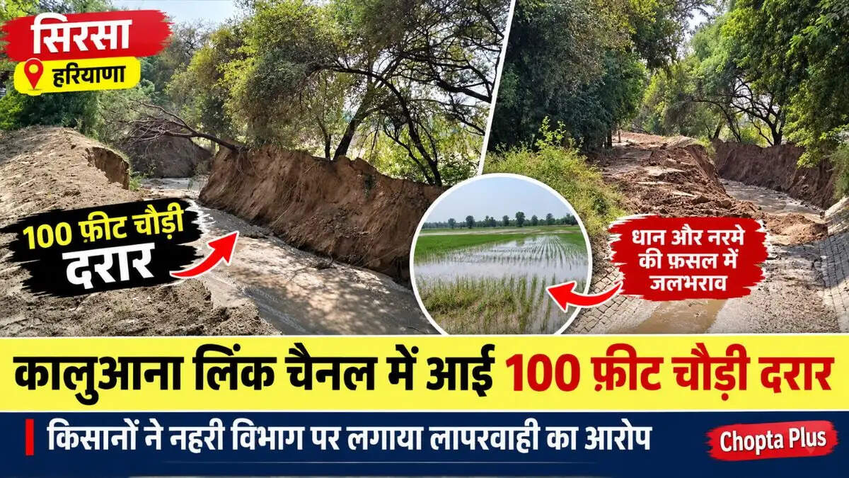 जिला सिरसा की टूटी नहर, 100 फुट चोड़ी आई दरार धान और नरमे की फसल में जलभराव