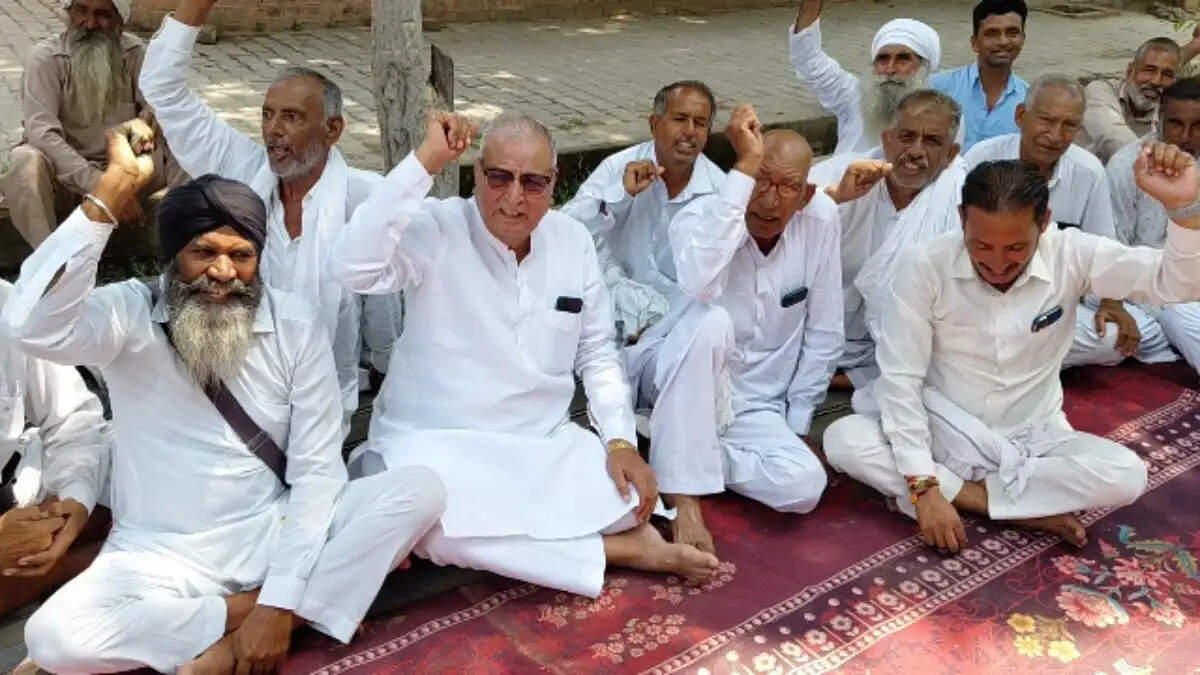 सिरसा के रानियां में सिंचाई पानी की मांग को लेकर किसानों का धरना