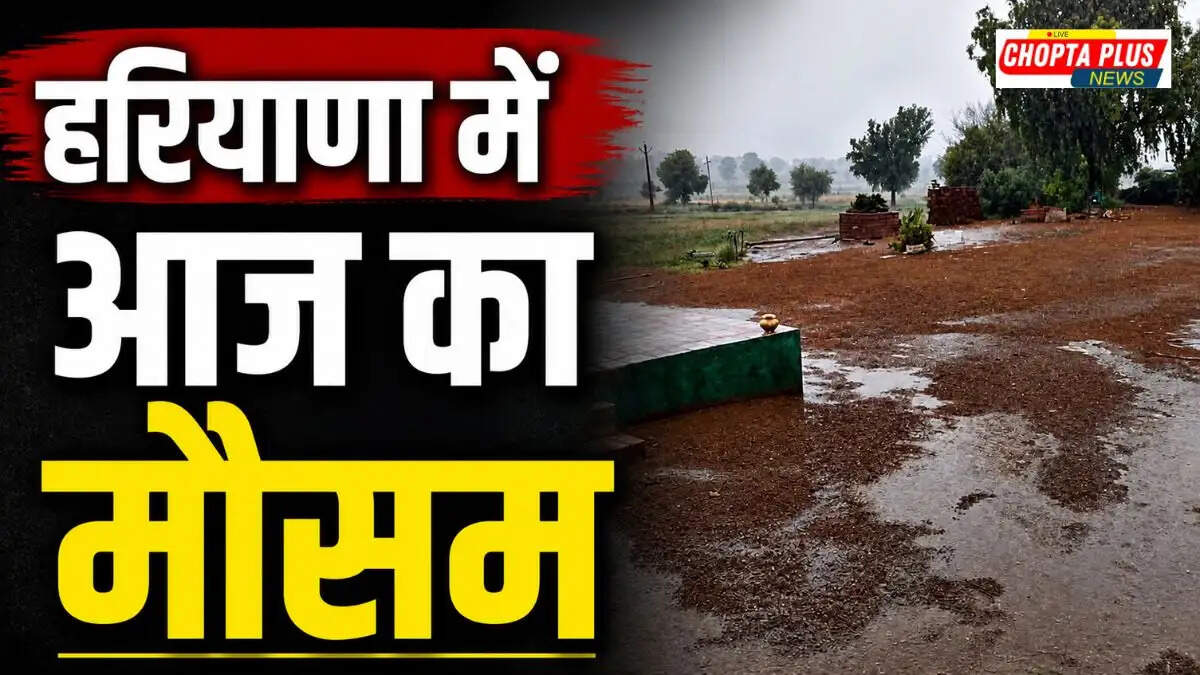 IMD Orange Alert for rain and hailstorm in Haryana districts on 4-5 May 2026 &ndash; Haryana Mausam 4 May 2026 Orange Alert