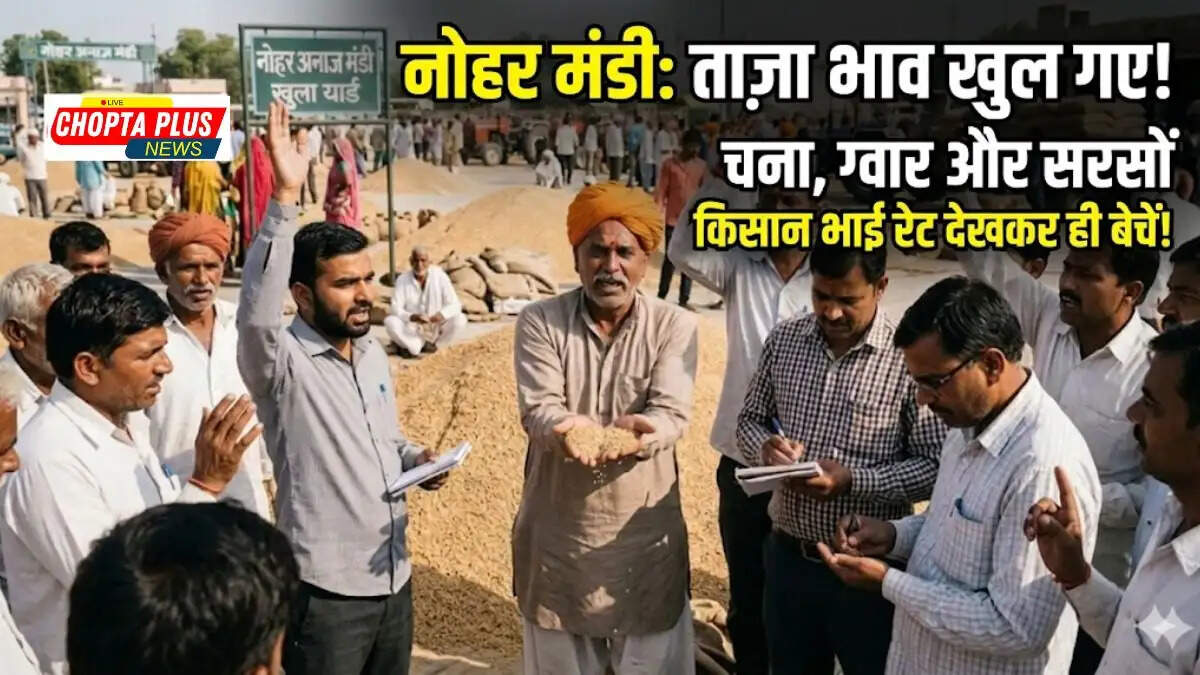 नोहर मंडी में फसलों की आवक और नीलामी करते किसान (Nohar Mandi Bhav Today