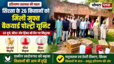 सिरसा के 26 किसानों को मिली मुफ्त बैकयार्ड पोल्ट्री यूनिट, 50 चूजों के साथ दाना-पानी के उपकरण भी दिए गए