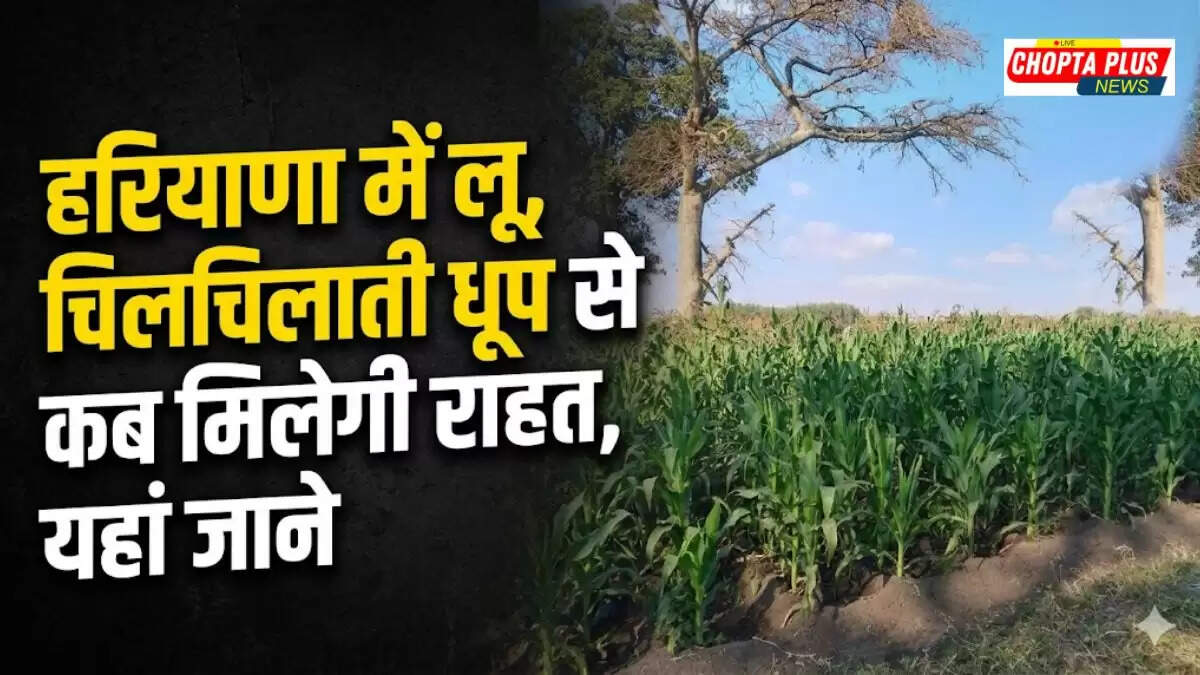 Haryana heatwave conditions with scorching sun and dry fields, Haryana weather today April 20 2026 IMD forecast