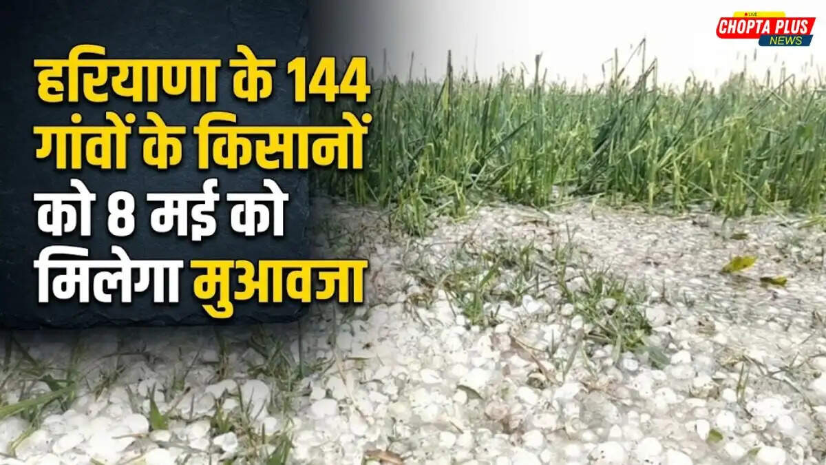 Haryana Farmers Crop Damage Compensation Unseasonal Rains Hailstorm May 2026
