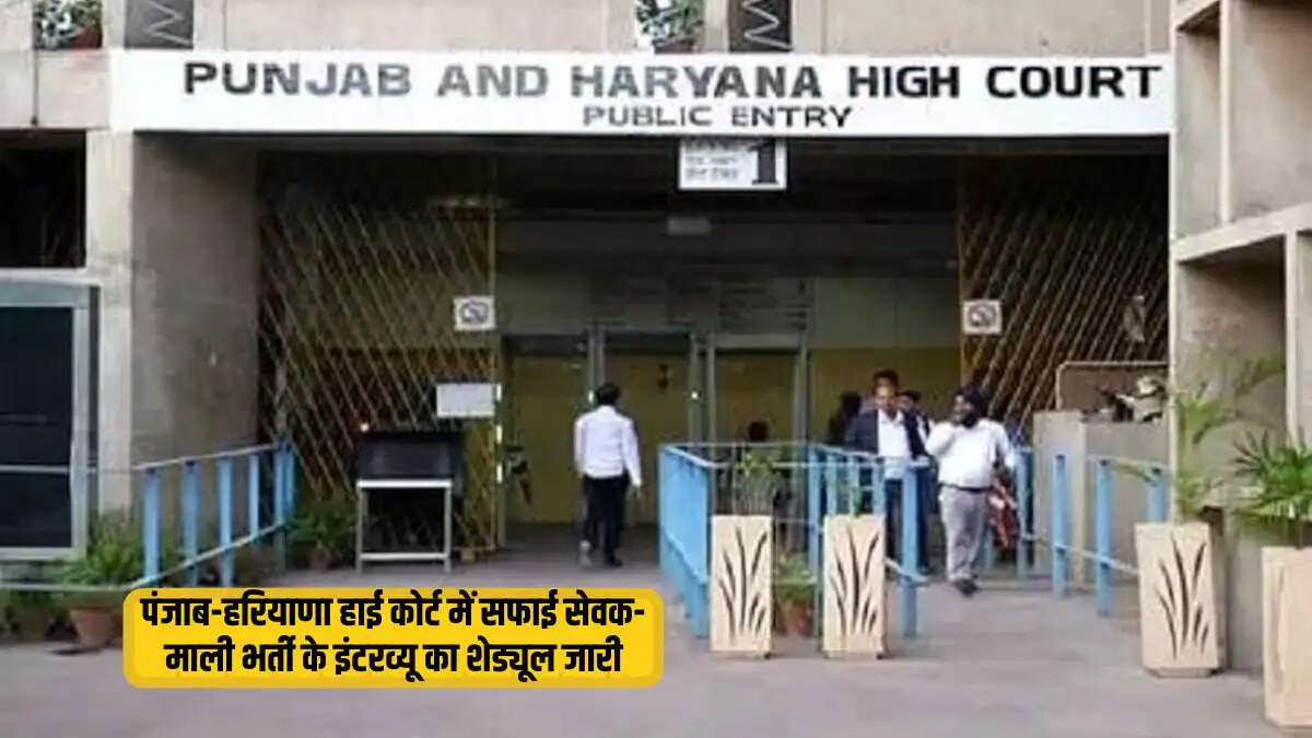 हाई कोर्ट चंडीगढ़ भर्ती 2026: सफाई सेवक और माली इंटरव्यू शेड्यूल जारी, ये हैं तारीखें और वेन्यू