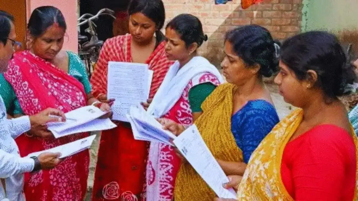 हरियाणा में घर-घर जाकर वोटर कार्ड अपडेट करते हुए बीएलओ और एसआईआर अभियान 2026 की जानकारी देती हुई (प्रतीकात्मक फोटो)
