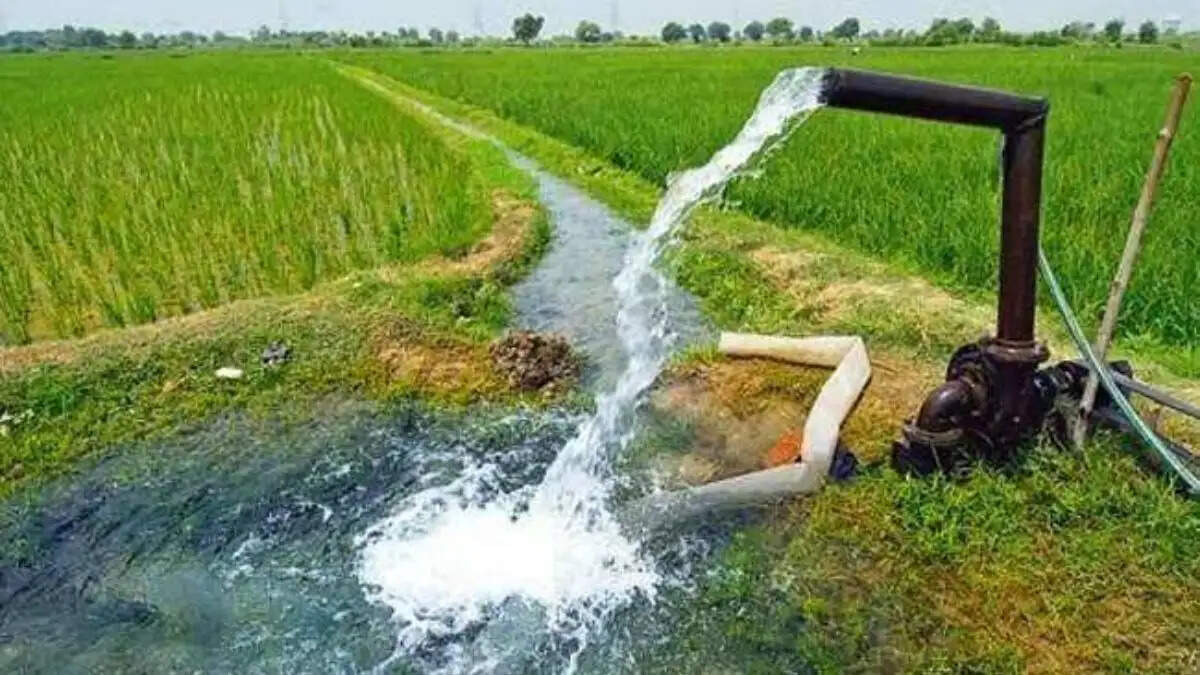 कागदाना बिजलीघर ट्यूबवेल टाइम टेबल 2026