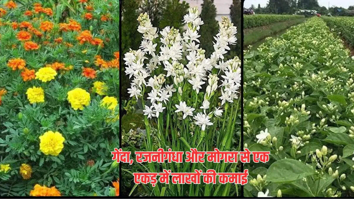 Monsoon Flower Farming