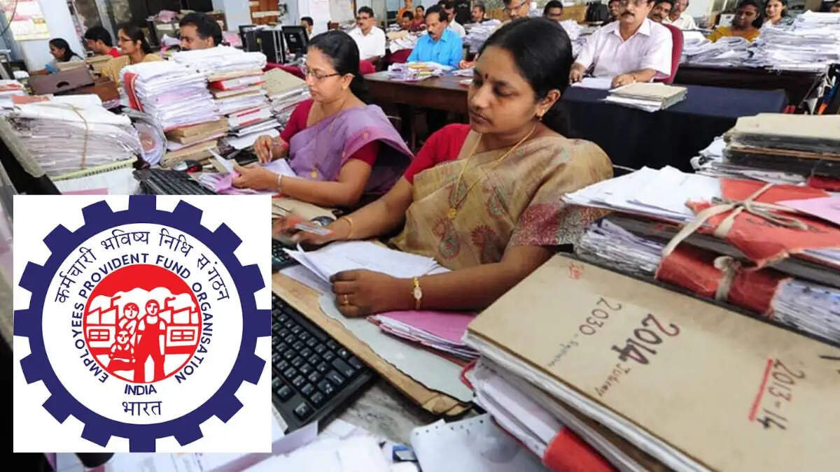 EPFO 2.01: हरियाणा में नौकरी बदलने पर अब ऑटोमैटिक ट्रांसफर होगा PF, जानें क्या बदला