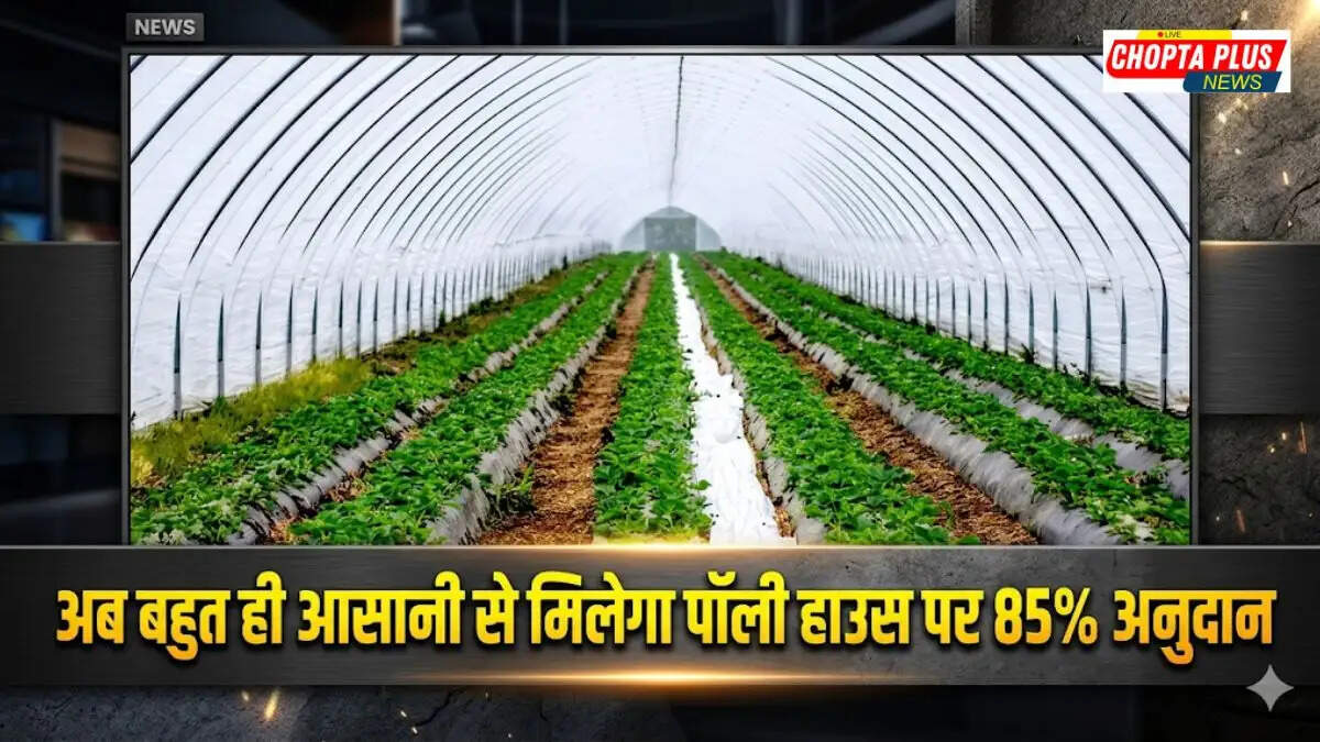Polyhouse Subsidy Haryana Scheme