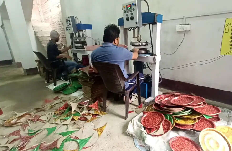 Disposable Plates and gilass Business Idea