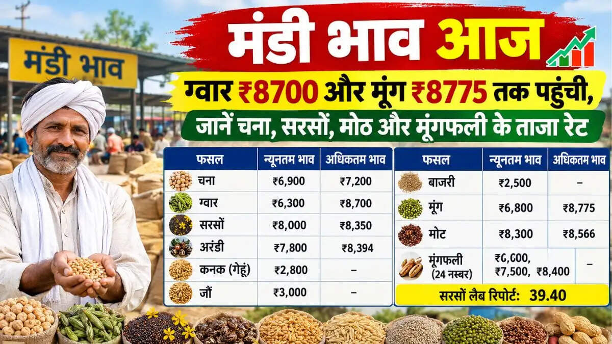 मंडी भाव आज ग्वार ₹8700 और मूंग ₹8775 तक पहुंची, जानें चना, सरसों, मोठ और मूंगफली के ताजा रेट