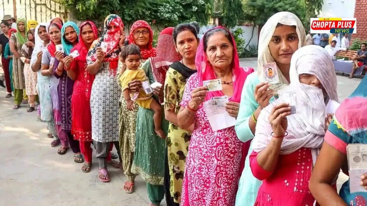 सिरसा पंचायत उपचुनाव नतीजे 2026 और विजेता उम्मीदवार