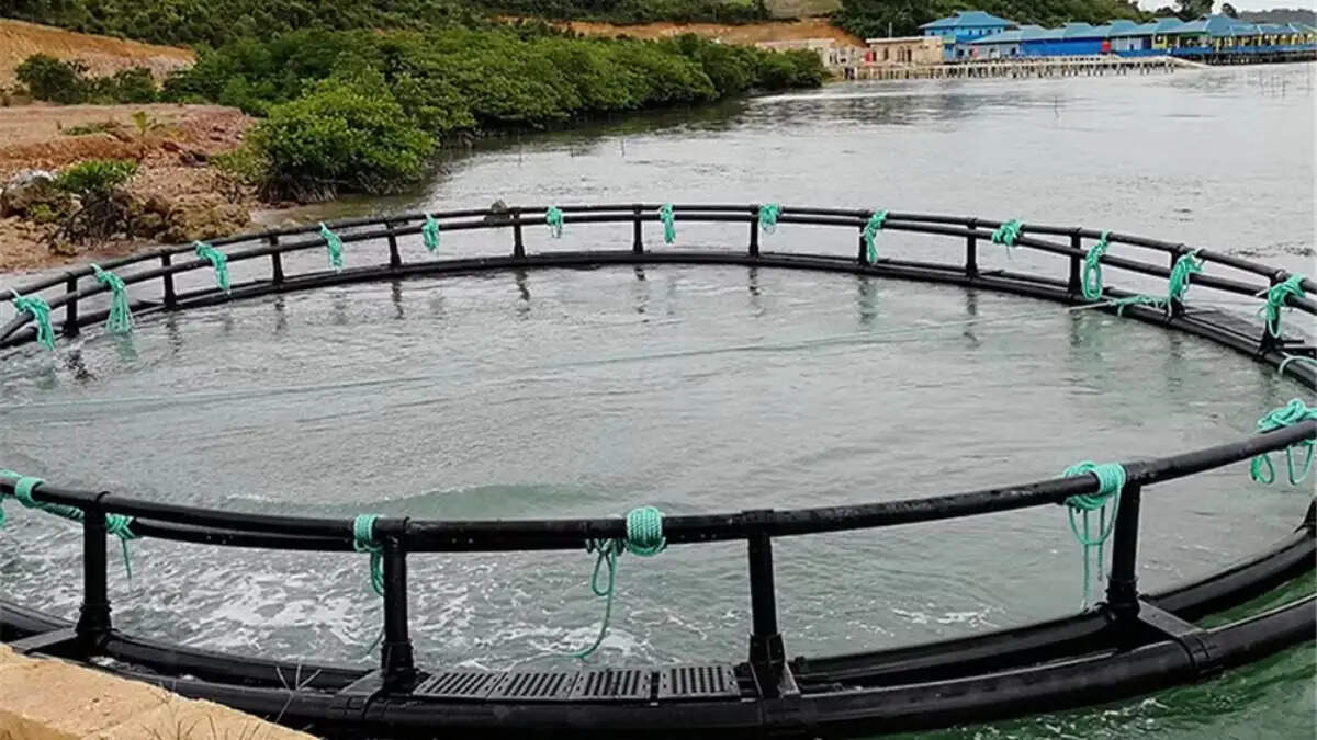 fish-farming-cage-culture-subsidy-haryana
