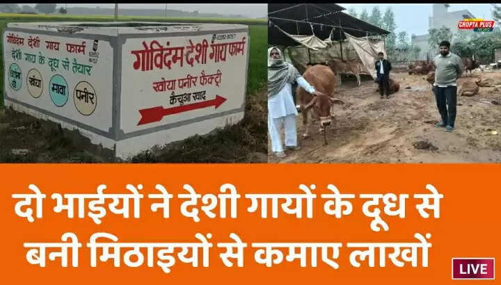 Dehsi Cow Dairy Business Sirsa Dairy Success Story