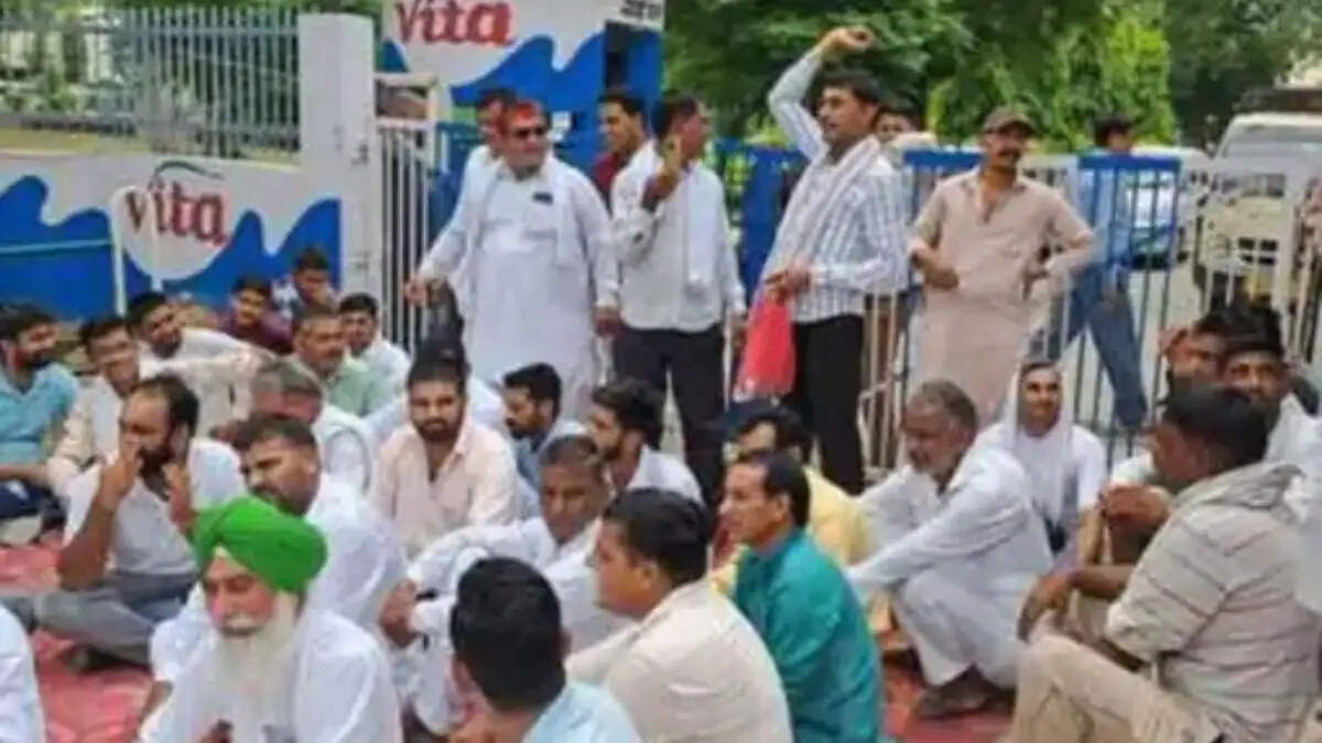 सिरसा वीटा मिल्क प्लांट में भुगतान अटकने के विरोध में प्रदर्शन करते किसान