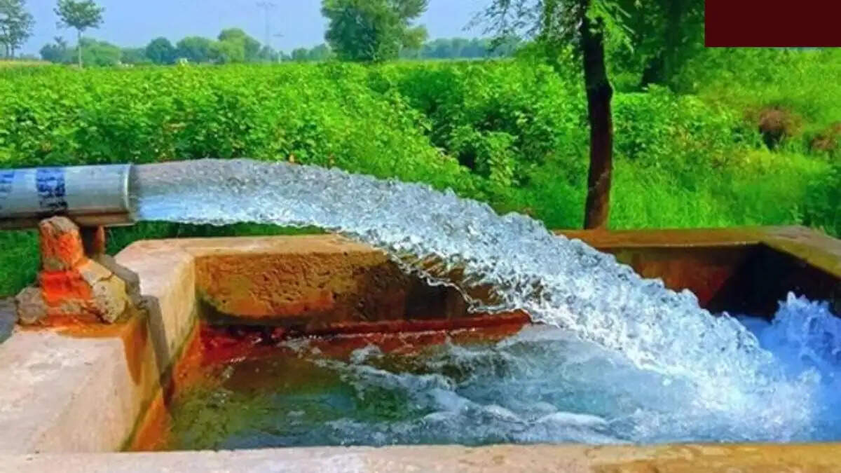 काला शोरा की मार: सिरसा के 37 गांवों के ट्यूबवेल के पानी में सोडियम सीमा से अधिक