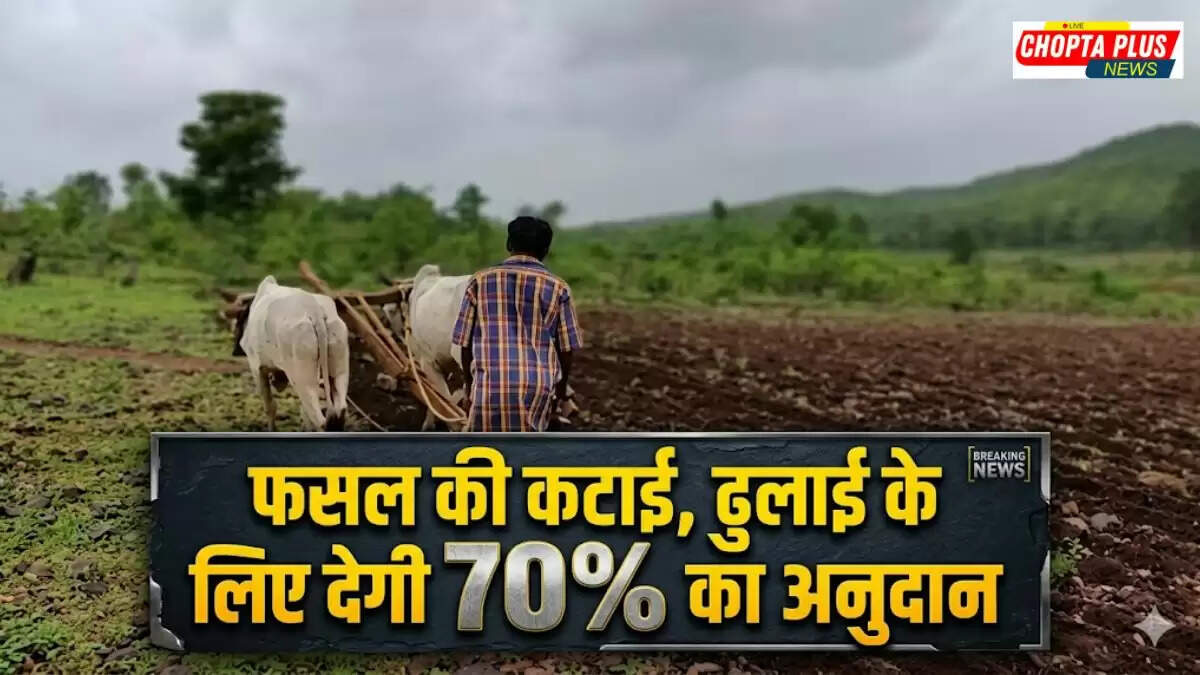 Haryana government provides 70% subsidy to horticulture farmers for packaging and transportation
