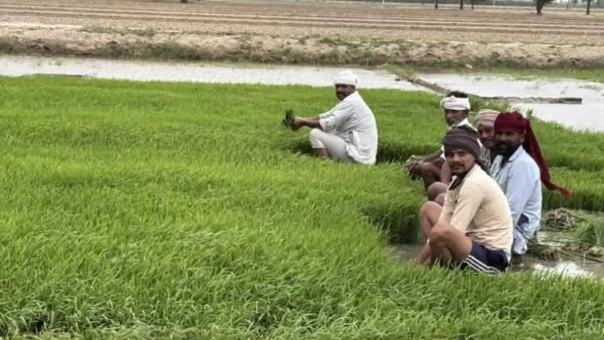 पीएम मोदी ने 20 जून 2026 को पीएम किसान की 23वीं किस्त 