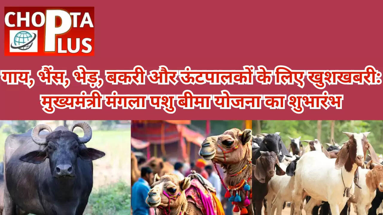 गाय, भैंस, भेड़, बकरी और ऊंटपालकों के लिए खुशखबरी: मुख्यमंत्री मंगला पशु बीमा योजना का शुभारंभ