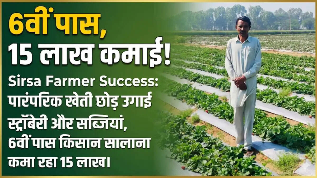पारंपरिक खेती छोड़ उगाई स्ट्रॉबेरी और सब्जियां, 6वीं पास किसान सालाना कमा रहा 15 लाख