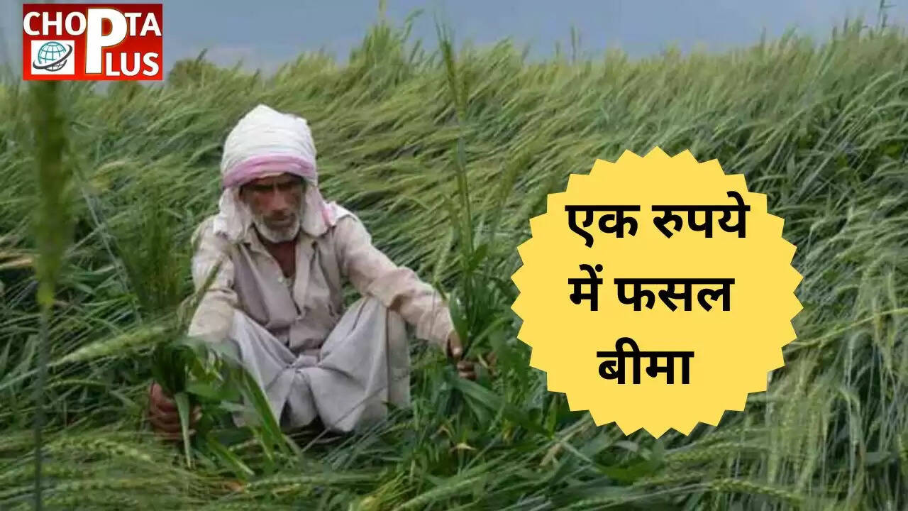  agriculture loan scheme
