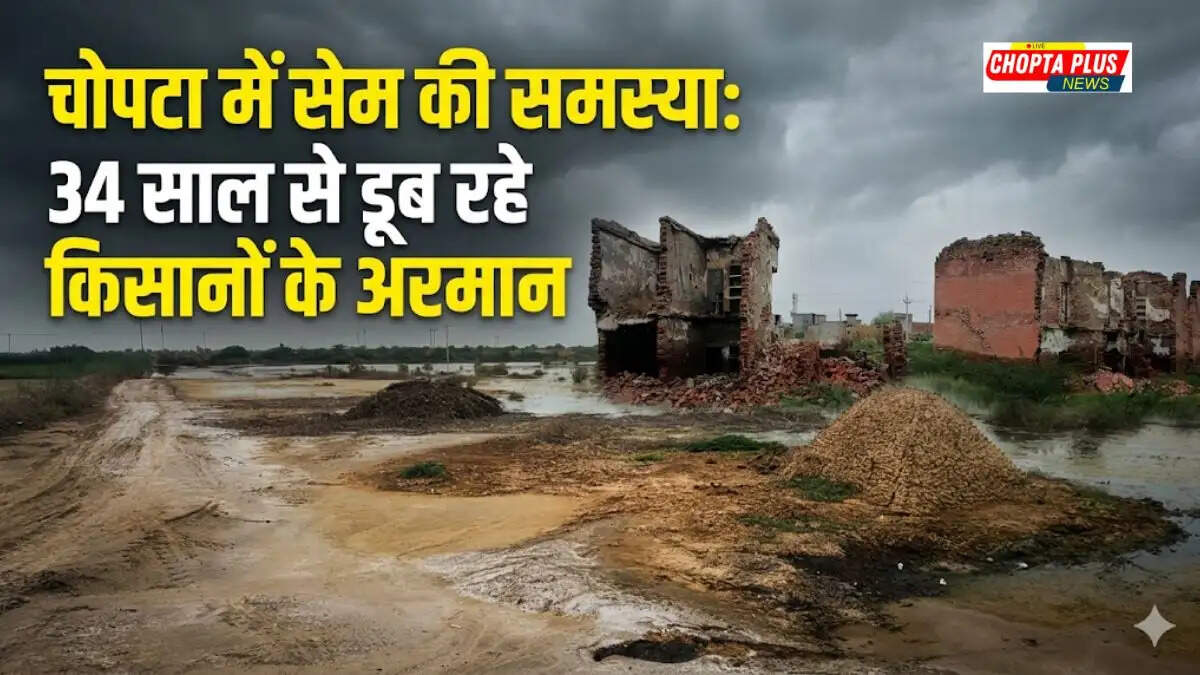 1991 से चोपटा में सेम की समस्या, सफेद नमक की चादर में तब्दील हुई उपजाऊ जमीन