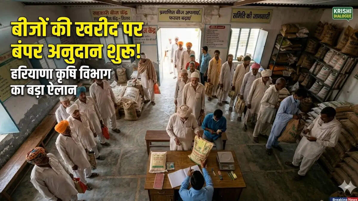 सिरसा में कृषि विभाग की योजना के तहत अनुदानित दरों पर गेहूं और धान के प्रमाणित बीज खरीदते किसान