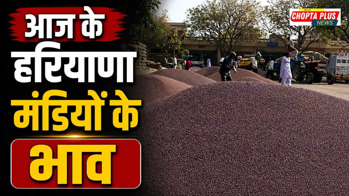 Haryana Crop Price Today