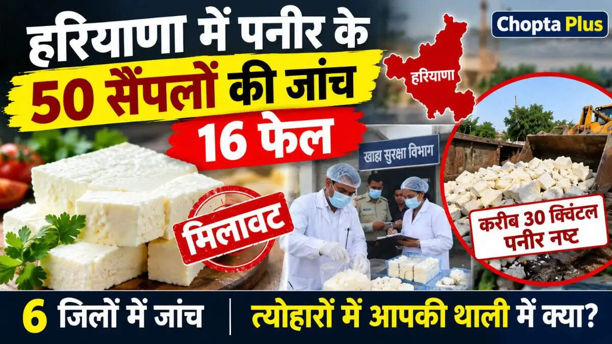हरियाणा में पनीर के 50 सैंपलों की जांच, 16 फेल; करीब 30 क्विंटल पनीर नष्ट