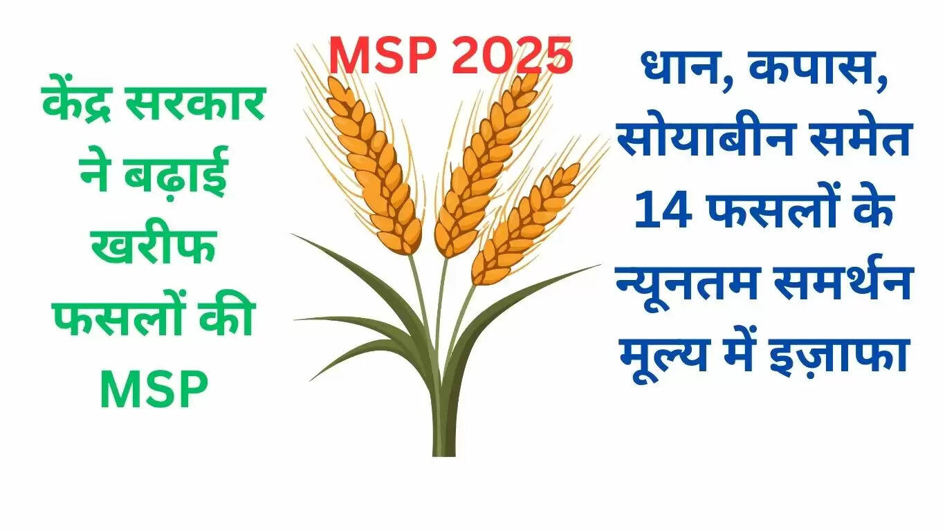msp 2025
