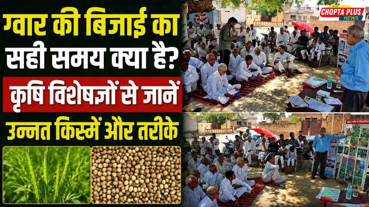 सिरसा के गुसाईयाना गांव में ग्वार की खेती और बिजाई के सही समय पर किसानों को जागरूक करते कृषि अधिकारी और विशेषज्ञ।