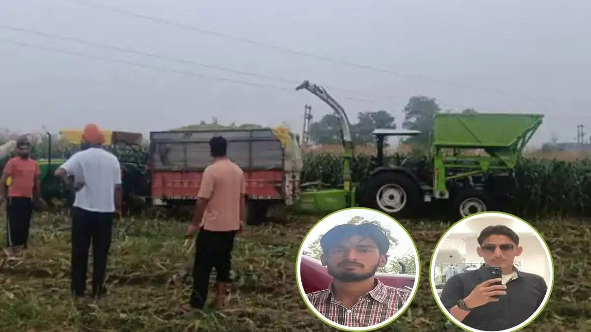 सिरसा में 11 हजार वोल्ट लाइन से करंट लगा, दो युवकों की मौत