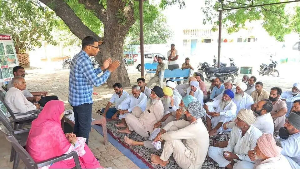 ग्वार में जीवाणु अंगमारी रोग के लक्षण और बचाव