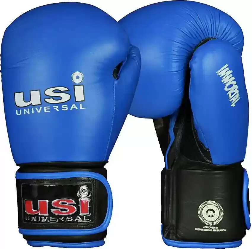 boxer