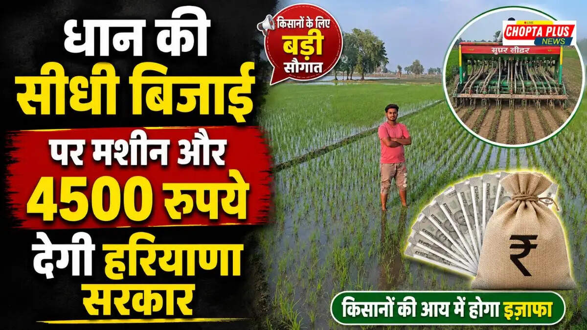 Haryana Paddy Cultivation: धान की सीधी बिजाई पर ₹4500 और ₹115 में मिलेगी मशीन