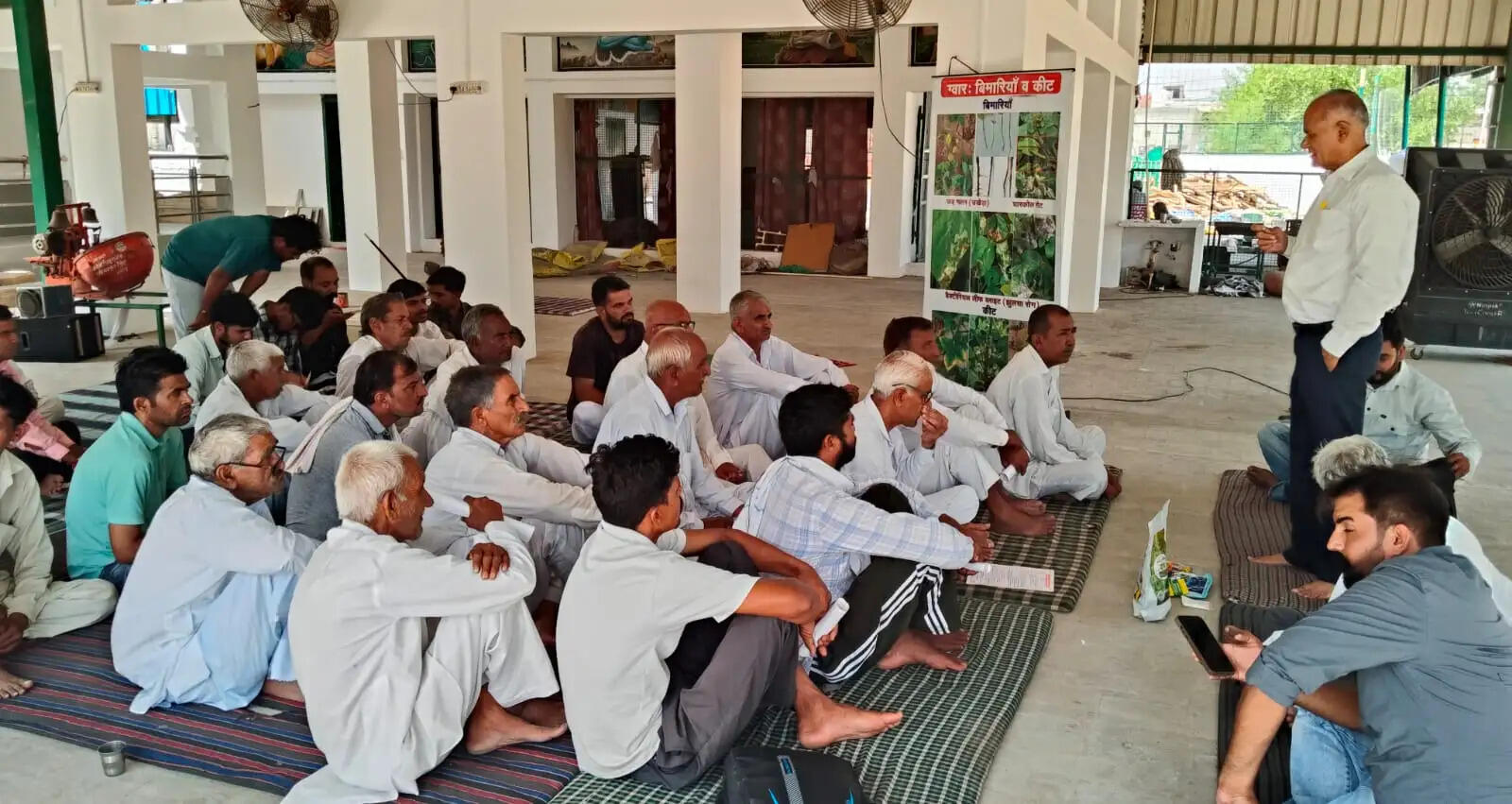 ग्वार और नरमा में जड़ गलन रोग के लक्षण और बीज उपचार से बचाव
