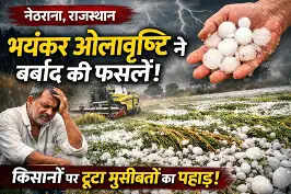 राजस्थान के नेठराना में भयंकर ओलावृष्टि