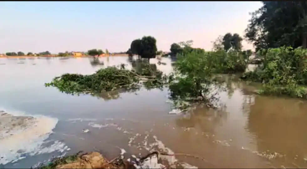 हिसार में सिद्धमुख ब्रांच नहर टूटी