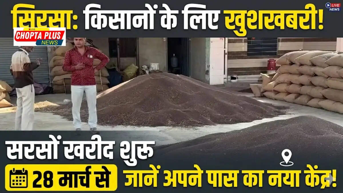 सिरसा में सरसों और गेहूं की खरीद के लिए केंद्रों की सूची जारी