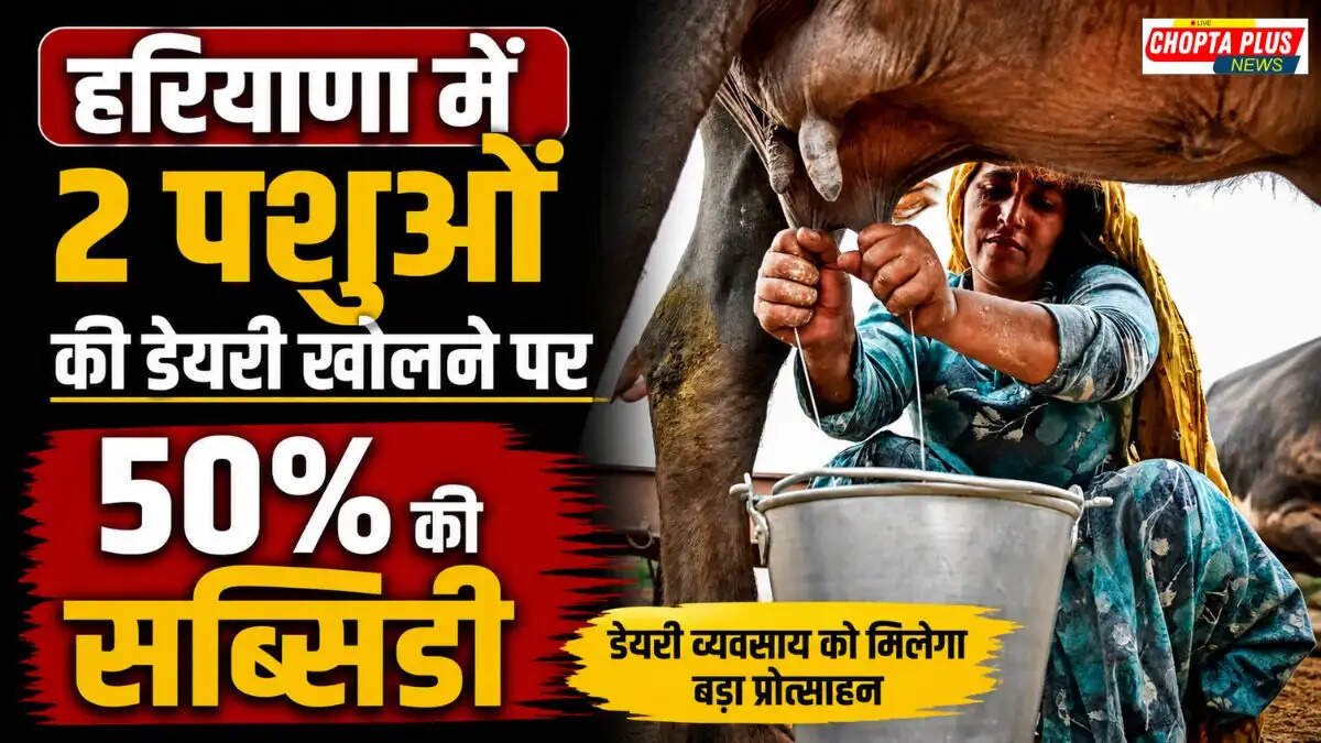 हरियाणा में अनुदान पर डेयरी और पशुपालन इकाई स्थापित करने वाले किसानों और युवाओं की प्रतीकात्मक तस्वीर।