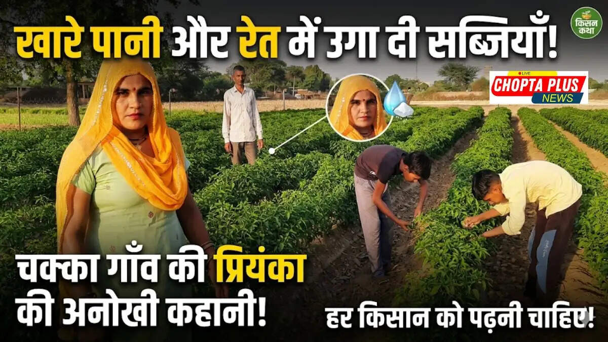 खारे पानी और रेत में भी उगा दी सब्जियाँ &mdash; चक्का गाँव की प्रियंका की कहानी जो हर किसान को पढ़नी चाहिए