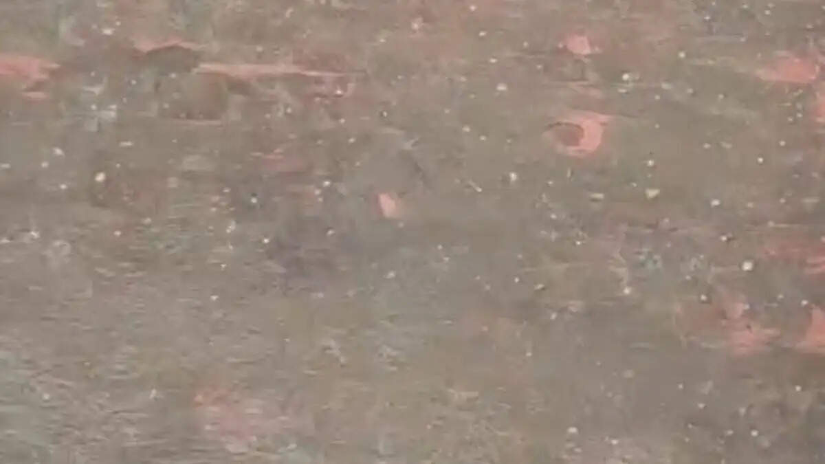 चौपटा क्षेत्र में बारिश से राहत तो ओलावृष्टि ने बढ़ाई चिंता